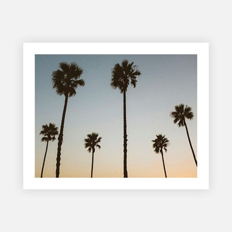 California Palms at Dusk|E – 600 x 760|F – 760 x 1000|G – 1000 x 1300|H – 1400 x 1900|Canvas|Photographic Paper|Rag Paper|None|Black|White|Scandi