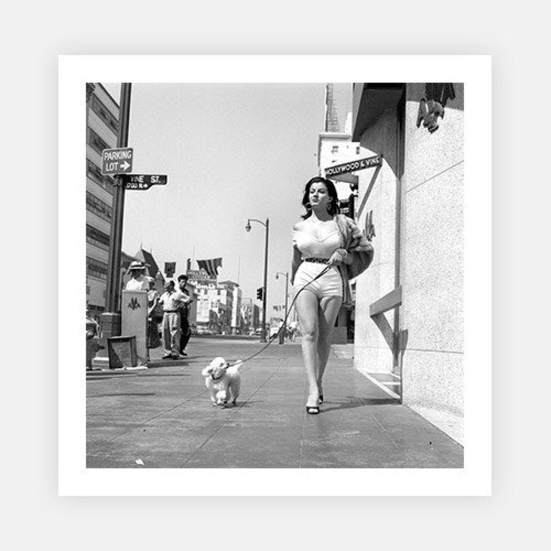 Joan Bradshaw|B – 290 x 290|C – 380 x 380|Photographic Paper|None|White|Black|Scandi