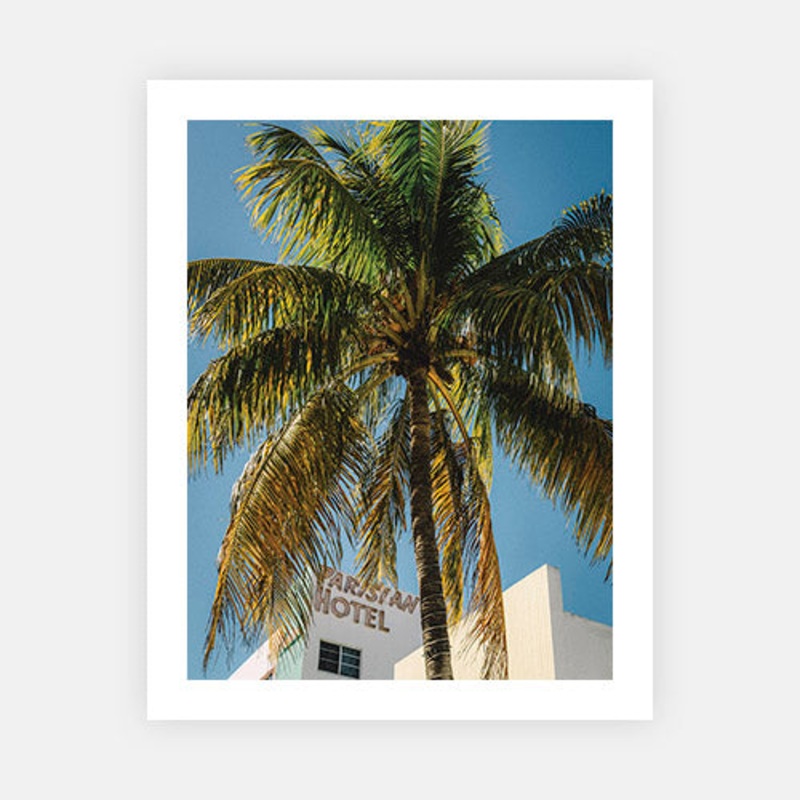 Parisian Palm|E – 600 x 760|F – 760 x 1000|G – 1000 x 1300|H – 1400 x 1900|Canvas|Photographic Paper|Rag Paper|None|Black|White|Scandi