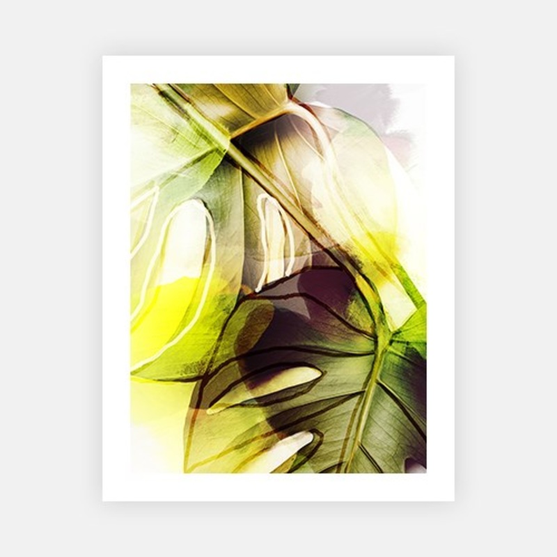 Tropical Leaves 2|C – 400 x 500|D – 500 x 600|E – 600 x 760|F – 760 x 1000|G – 1000 x 1300|Matt Photographic Paper|Canvas|None|White|Black|Scandi
