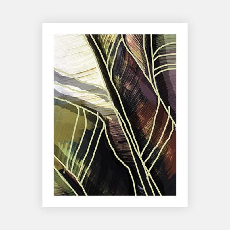 Verdure|C – 400 x 500|D – 500 x 600|E – 600 x 760|F – 760 x 1000|G – 1000 x 1300|Matt Photographic Paper|Canvas|None|White|Black|Scandi