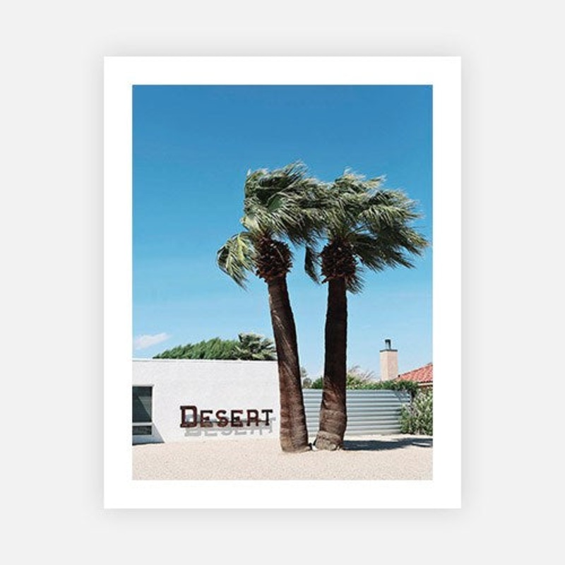 Windy Palms|E – 600 x 760|F – 760 x 1000|G – 1000 x 1300|H – 1400 x 1900|Canvas|Photographic Paper|Rag Paper|None|Black|White|Scandi