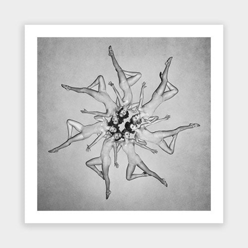 Chorus Formation|B – 290 x 290|C – 380 x 380|D – 490 x 490|Photographic Paper|None|White|Black|Scandi