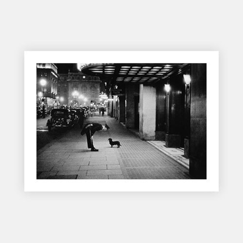 Commissionaire’s Dog|C – 320 x 490|D – 390 x 590|E – 490 x 730|F – 640 x 965|Photographic Paper|None|White|Black|Scandi