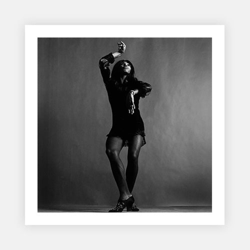 Tina Turner 1|B – 290 x 290|C – 380 x 380|Photographic Paper|None|White|Black|Scandi