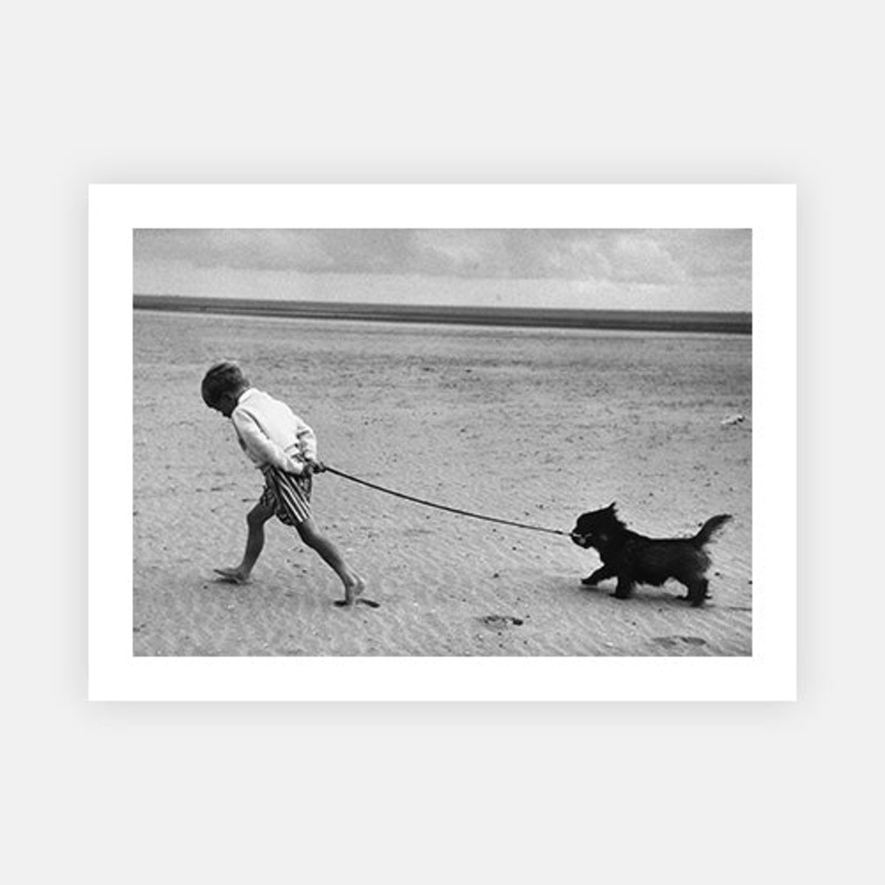 Walking The Dog|C – 320 x 490|D – 390 x 590|E – 490 x 730|F – 640 x 965|Photographic Paper|None|White|Black|Scandi