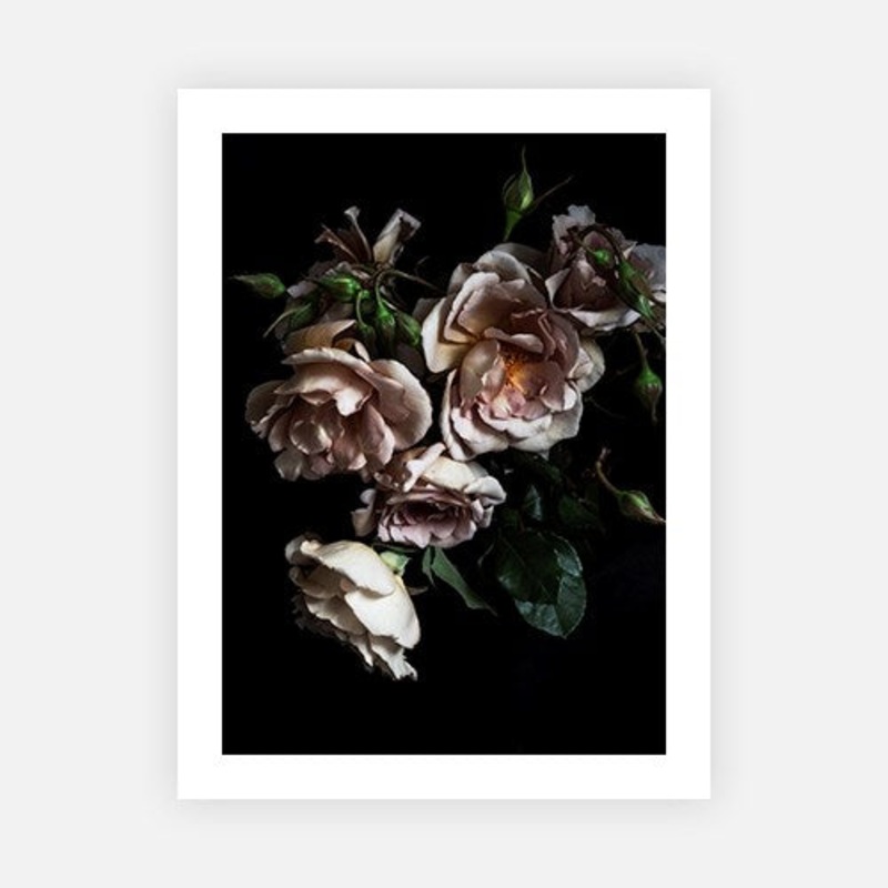Antique rose cascade|E – 500 x 760|F – 660 x 1000|G – 850 x 1300|H – 1300 x 1900|Canvas|Photographic Paper|Rag Paper|None|Black|White|Scandi