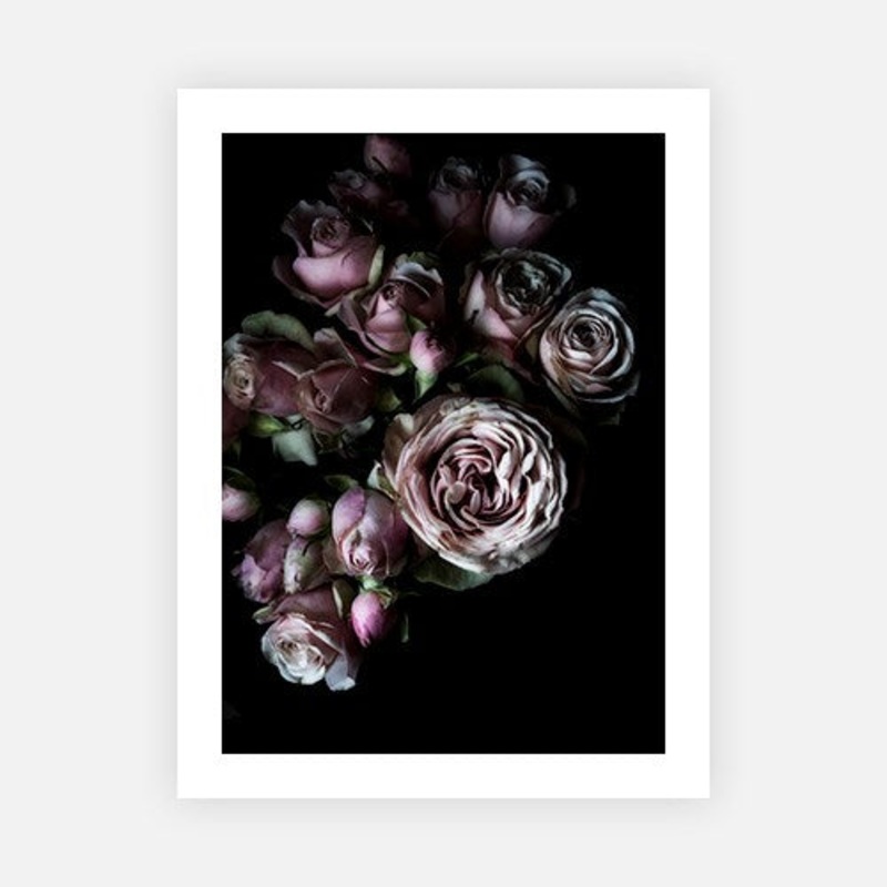Cluster roses|E – 500 x 760|F – 660 x 1000|G – 850 x 1300|Canvas|Photographic Paper|Rag Paper|None|Black|White|Scandi