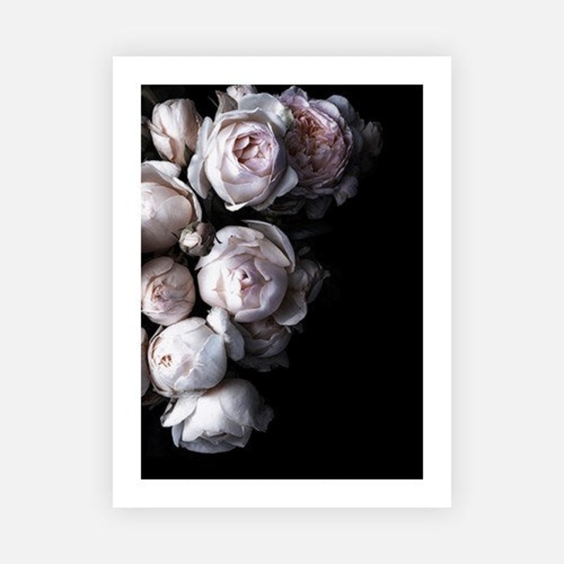 David Austin Cluster|E – 500 x 760|F – 660 x 1000|G – 850 x 1300|Canvas|Photographic Paper|Rag Paper|None|Black|White|Scandi