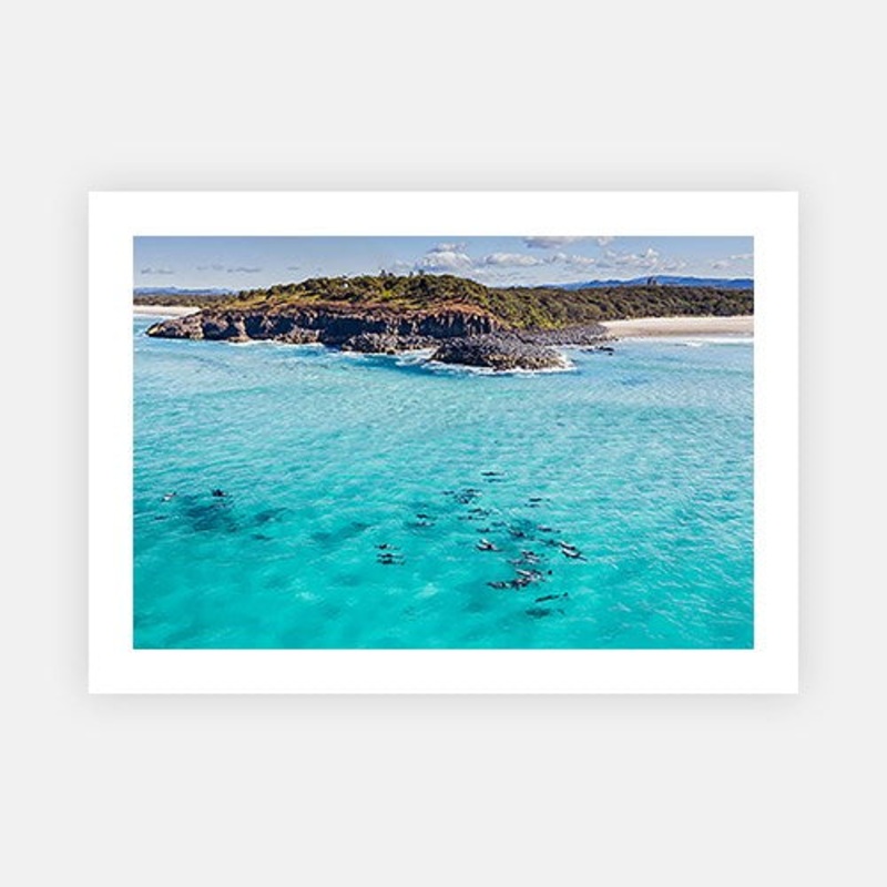 Fingal Dolphins|E – 500 x 760|F – 660 x 1000|G – 850 x 1300|Photographic Paper|Rag Paper|Canvas|None|White|Black|Scandi