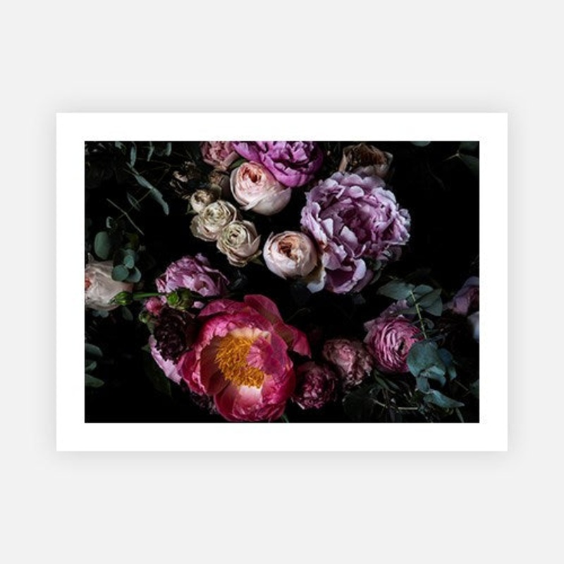 Jane arrangement on black|E – 500 x 760|F – 660 x 1000|G – 850 x 1300|Canvas|Photographic Paper|Rag Paper|None|Black|White|Scandi