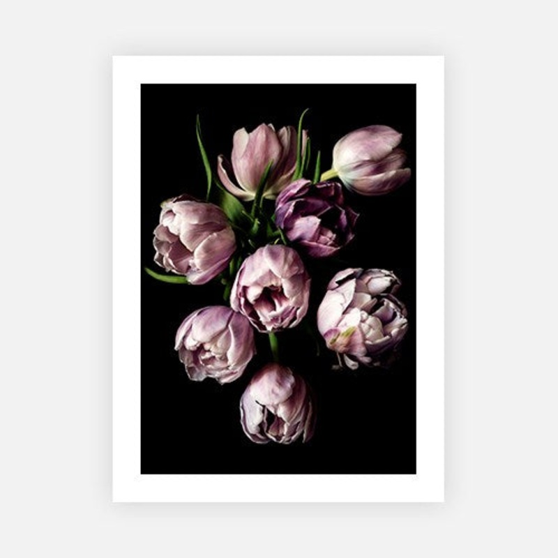 Lilac tulips with leaves|E – 500 x 760|F – 660 x 1000|G – 850 x 1300|Canvas|Photographic Paper|Rag Paper|None|Black|White|Scandi