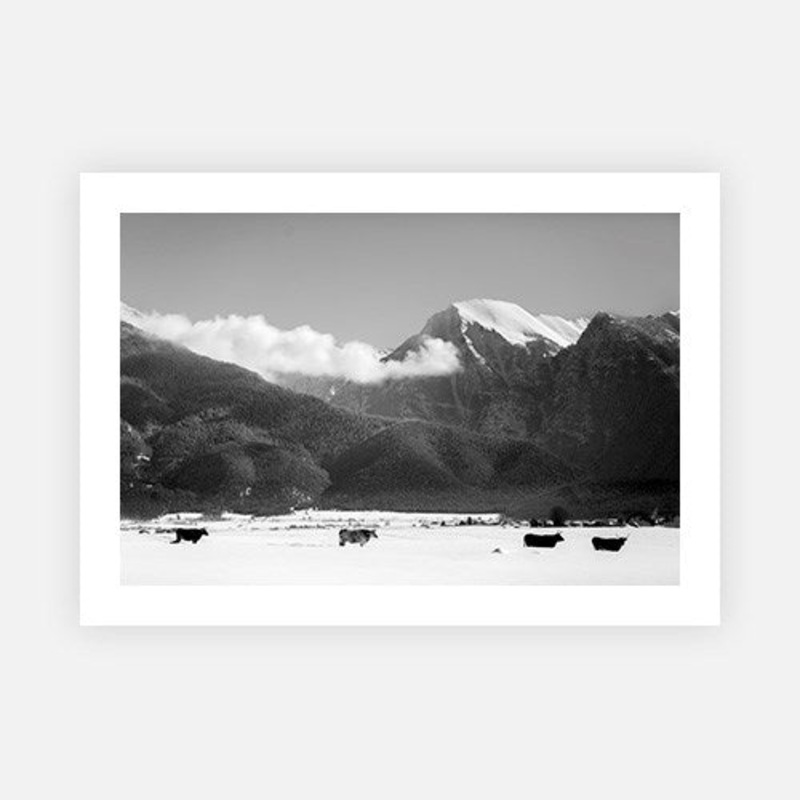 Montana – 3|E – 500 x 760|F – 660 x 1000|G – 850 x 1300|Photographic Paper|Rag Paper|Canvas|None|White|Black|Scandi