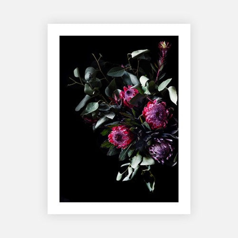 Protea cluster|E – 500 x 760|F – 660 x 1000|G – 850 x 1300|Canvas|Photographic Paper|Rag Paper|None|Black|White|Scandi
