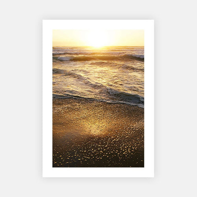 The Sea Life 01|E – 500 x 760|F – 660 x 1000|G – 850 x 1300|Canvas|Photographic Paper|Rag Paper|None|Black|White|Scandi
