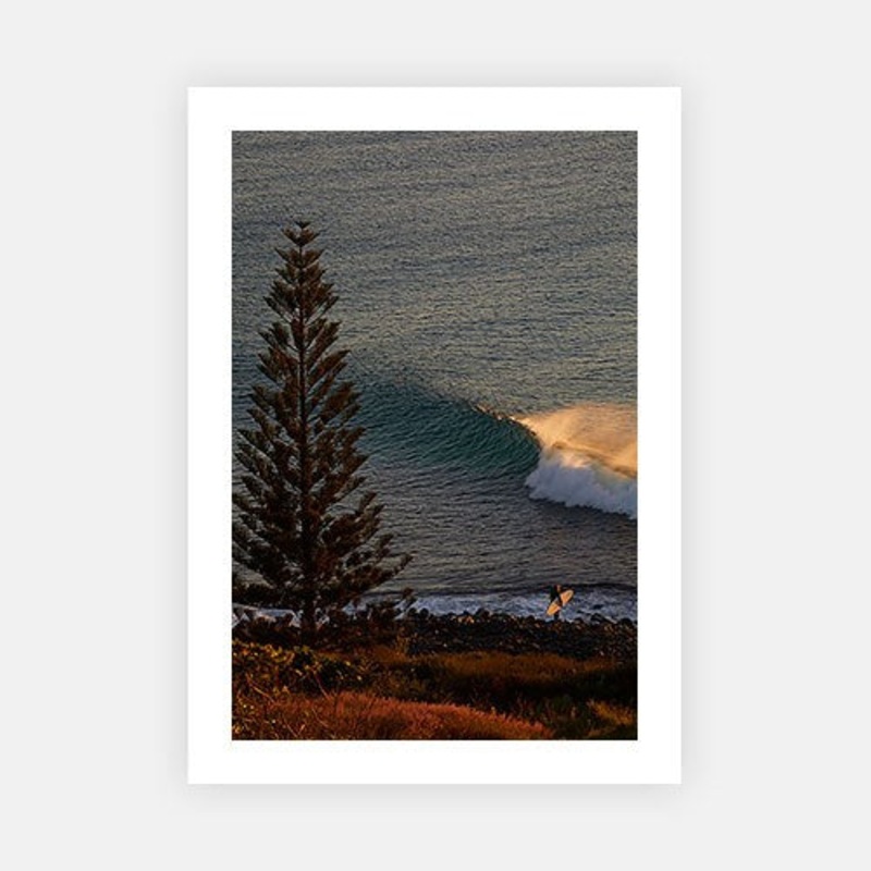 The Sea Life 02|E – 500 x 760|F – 660 x 1000|G – 850 x 1300|Canvas|Photographic Paper|Rag Paper|None|Black|White|Scandi