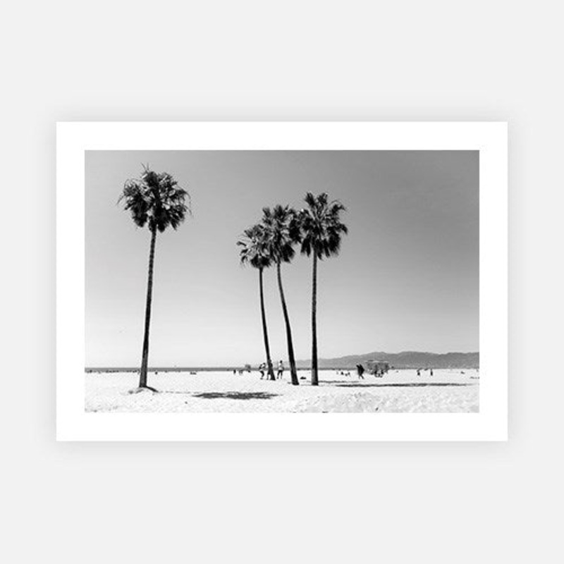 Venice Beach Palm Trees|E – 500 x 760|F – 660 x 1000|G – 850 x 1300|Photographic Paper|Rag Paper|Canvas|None|White|Black|Scandi