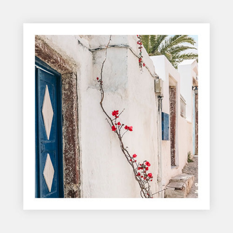 Blue, White and Bouganvillea|E – 600 x 600|F – 760 x 760|G – 1000 x 1000|Photographic Paper|Rag Paper|Canvas|None|White|Black|Scandi