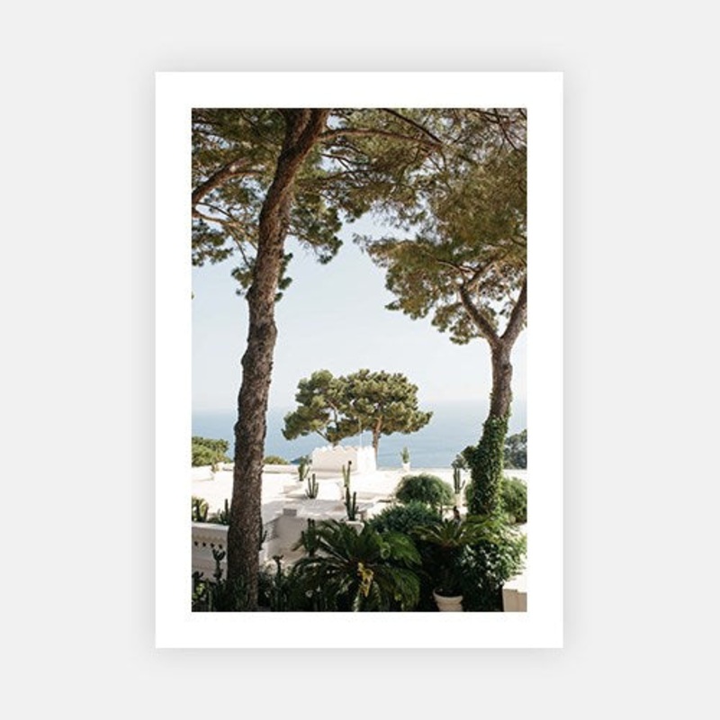 Capri Cacti|E – 500 x 760|F – 660 x 1000|G – 850 x 1300|Photographic Paper|Rag Paper|Canvas|None|White|Black|Scandi