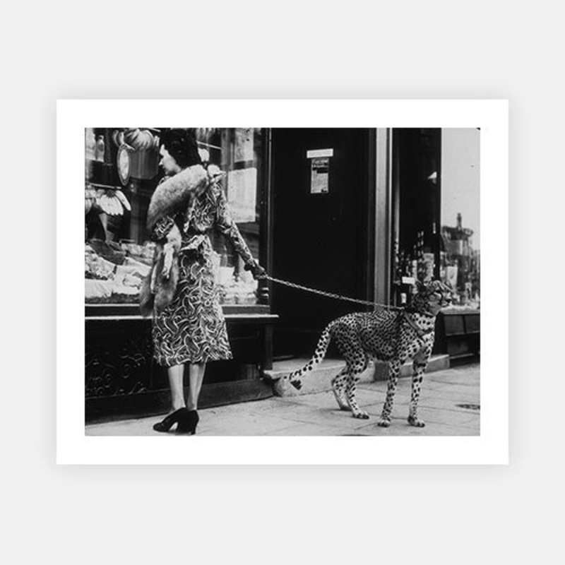 Cheetah Who Shops|C – 320 x 490|D – 390 x 590|E – 490 x 730|F – 640 x 965|Photographic Paper|None|White|Black|Scandi