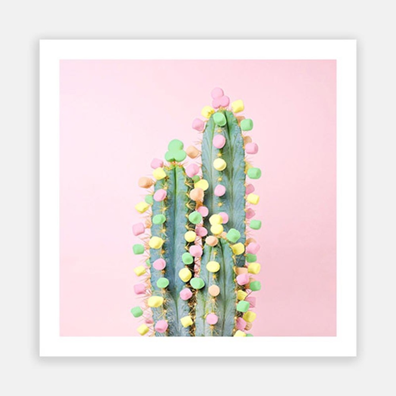 Pastel Cactus|C – 400 x 400|D – 500 x 500|E – 600 x 600|F – 760 x 760|G – 1000 x 1000|Matt Photographic Paper|Canvas|None|White|Black|Scandi