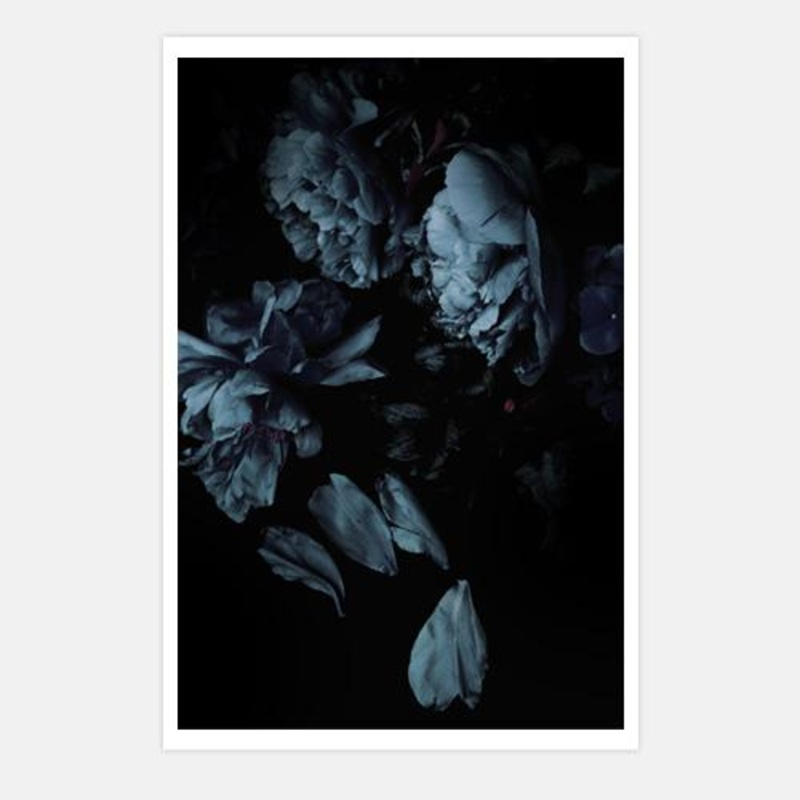 Aegean Bloom 1 – Flower Abstract