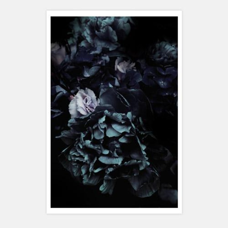 Aegean Bloom 2 – Flower Abstract