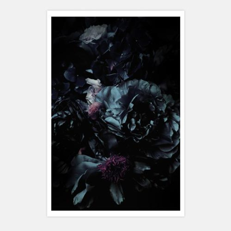 Aegean Bloom 3 – Flower Abstract