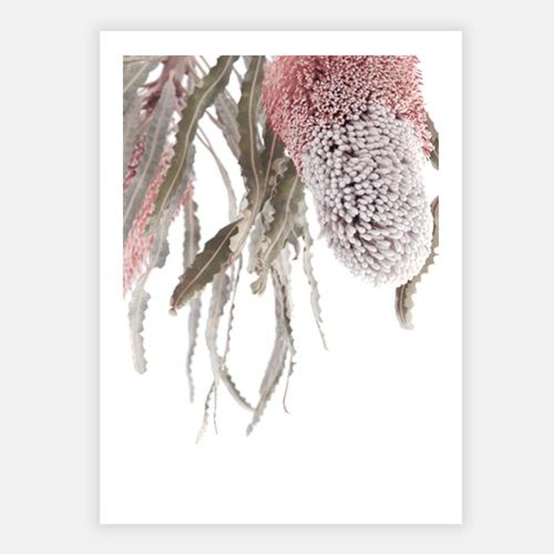 Australiana IV|C – 400 x 500|D – 500 x 600|E – 600 x 760|F – 760 x 1000|G – 1000 x 1300|Matt Photographic Paper|Canvas|None|Black|White|Scandi