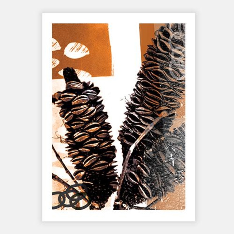 Banxy I|C – 400 x 500|D – 500 x 600|E – 600 x 760|F – 760 x 1000|G – 1000 x 1300|Matt Photographic Paper|Canvas|None|Black|White|Scandi