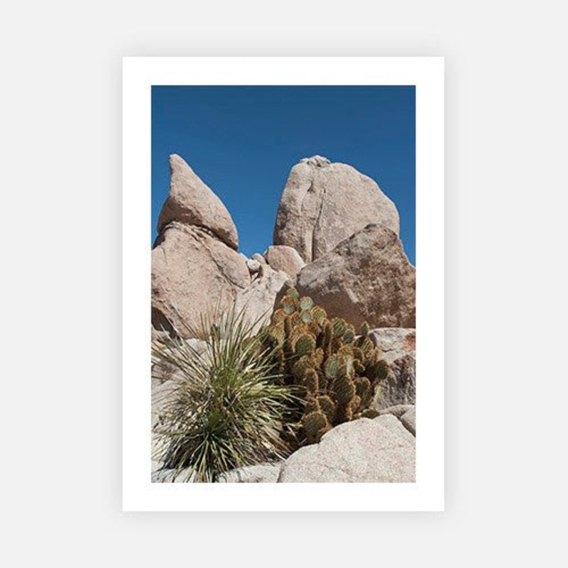 Barrens|C – 400 x 500|D – 500 x 600|E – 600 x 760|F – 760 x 1000|G – 1000 x 1300|Matt Photographic Paper|Canvas|None|White|Black|Scandi