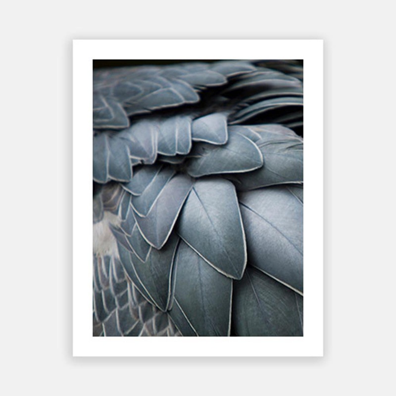 Dusty Blue Feathers|C – 400 x 500|D – 500 x 600|E – 600 x 760|F – 760 x 1000|G – 1000 x 1300|Matt Photographic Paper|Canvas|None|White|Black|Scandi