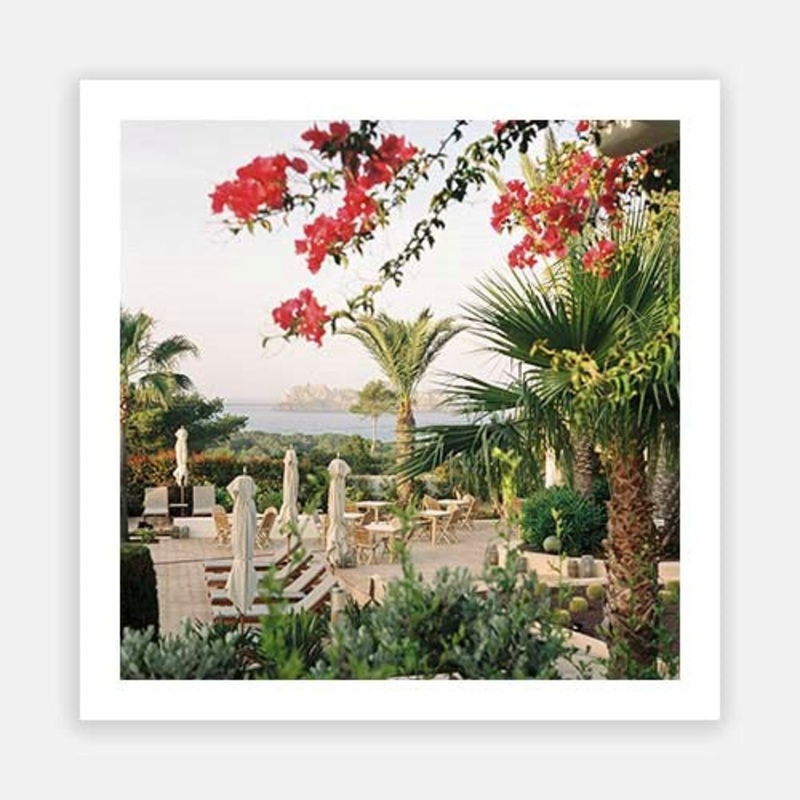 Petunia Gardens|E – 600 x 600|F – 760 x 760|G – 1000 x 1000|Photographic Paper|Rag Paper|Canvas|None|White|Black|Scandi