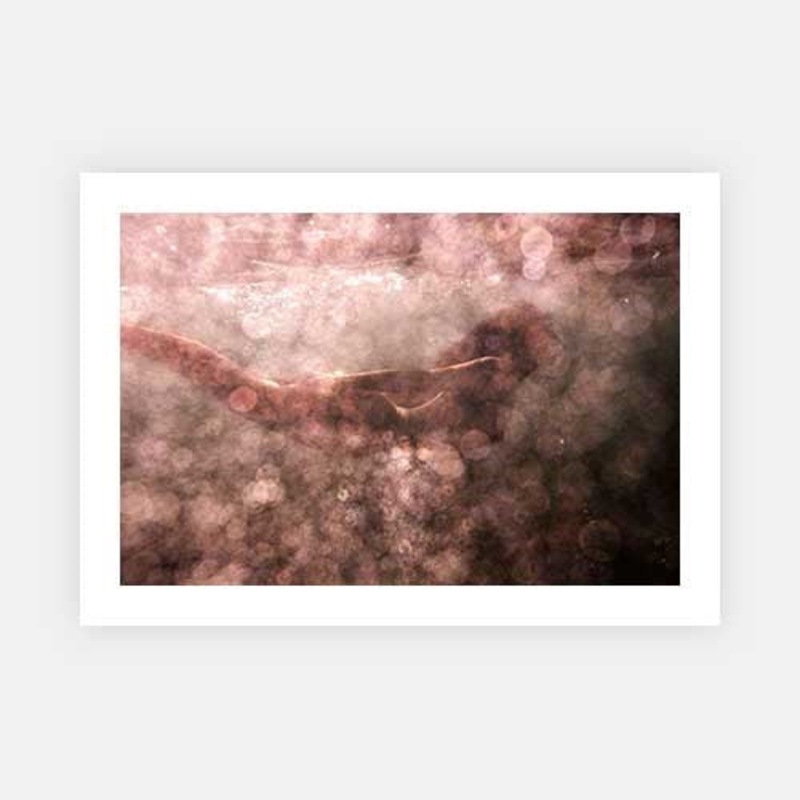 Signature Series – Blush 02|G – 1000 x 1300|H – 1400 x 1900|Canvas|Rag Paper|None|Gold|Black|White|Scandi