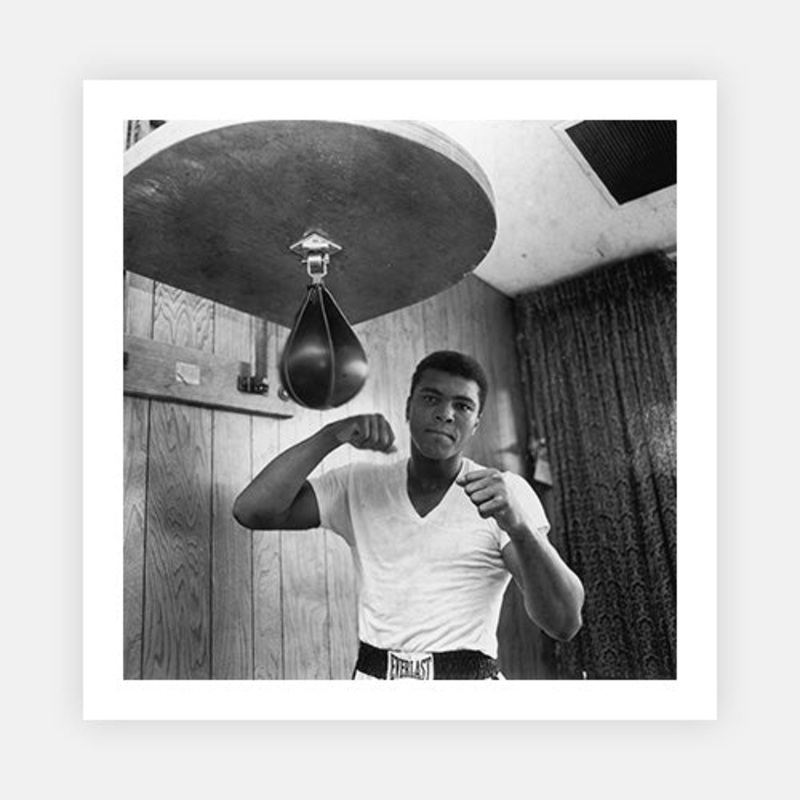 Ali In Training – Clearance|E – 610 x 610|Photographic Paper|None