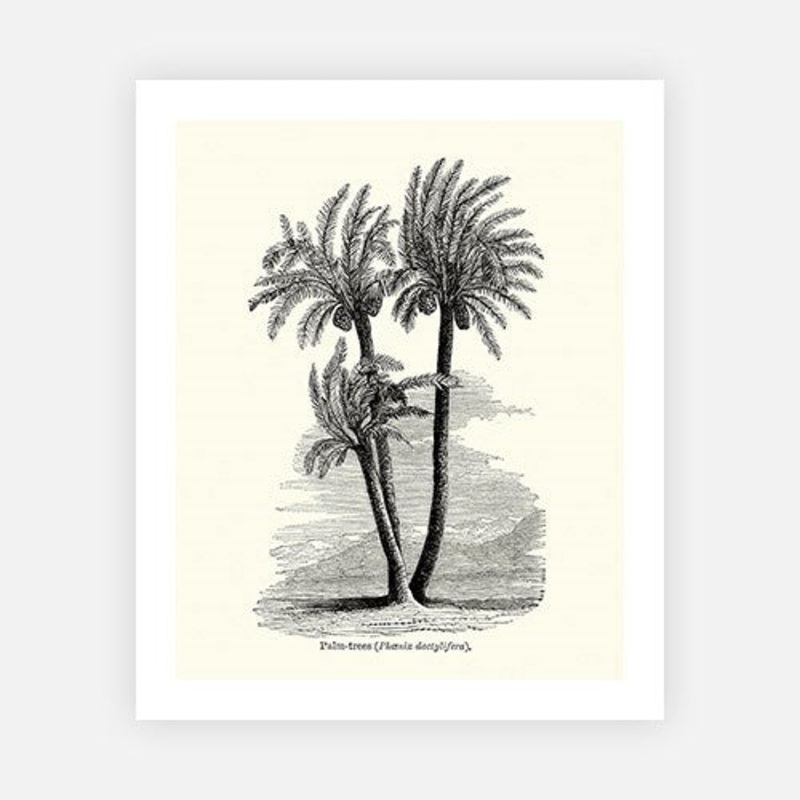 Illustrated Palm Trees|C – 400 x 500|D – 500 x 600|E – 600 x 760|F – 760 x 1000|G – 1000 x 1300|Matt Photographic Paper|Canvas|None|White|Black|Scandi