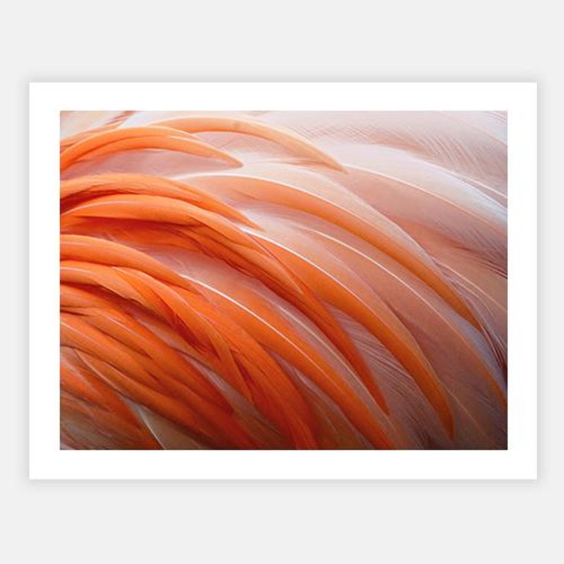 Orange Charm|C – 400 x 500|D – 500 x 600|E – 600 x 760|F – 760 x 1000|G – 1000 x 1300|Matt Photographic Paper|Canvas|None|White|Black|Scandi