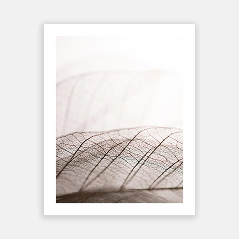 Pastel Colored Leaf Skeleton|C – 400 x 500|D – 500 x 600|E – 600 x 760|F – 760 x 1000|G – 1000 x 1300|Matt Photographic Paper|Canvas|None|White|Black|Scandi