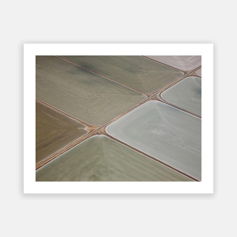 Pastel Field|C – 400 x 500|D – 500 x 600|E – 600 x 760|F – 760 x 1000|G – 1000 x 1300|Matt Photographic Paper|Canvas|None|White|Black|Scandi