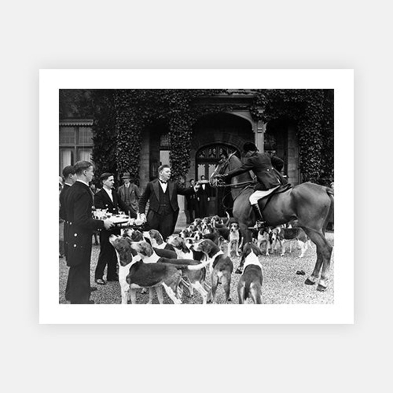 Stirrup Cup – Clearance|F – 1016 x 762|Photographic Paper|None