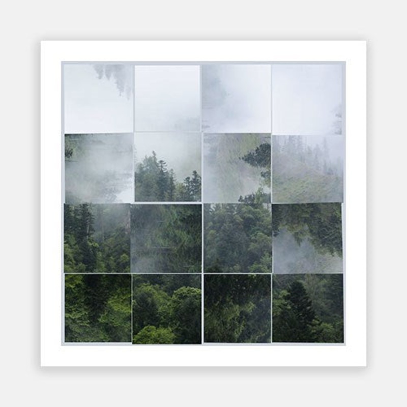 Bewilder 1|C – 400 x 400|D – 500 x 500|E – 600 x 600|F – 760 x 760|G – 1000 x 1000|Matt Photographic Paper|Canvas|None|White|Black|Scandi