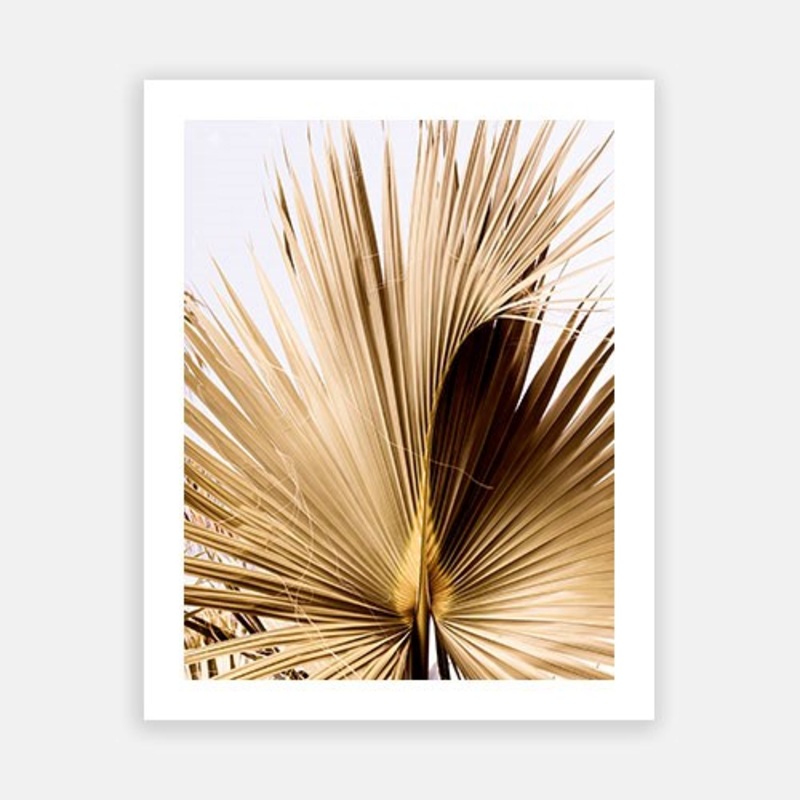 Antigua 01|C – 400 x 500|D – 500 x 600|E – 600 x 760|F – 760 x 1000|G – 1000 x 1300|Matt Photographic Paper|Canvas|None|White|Black|Scandi