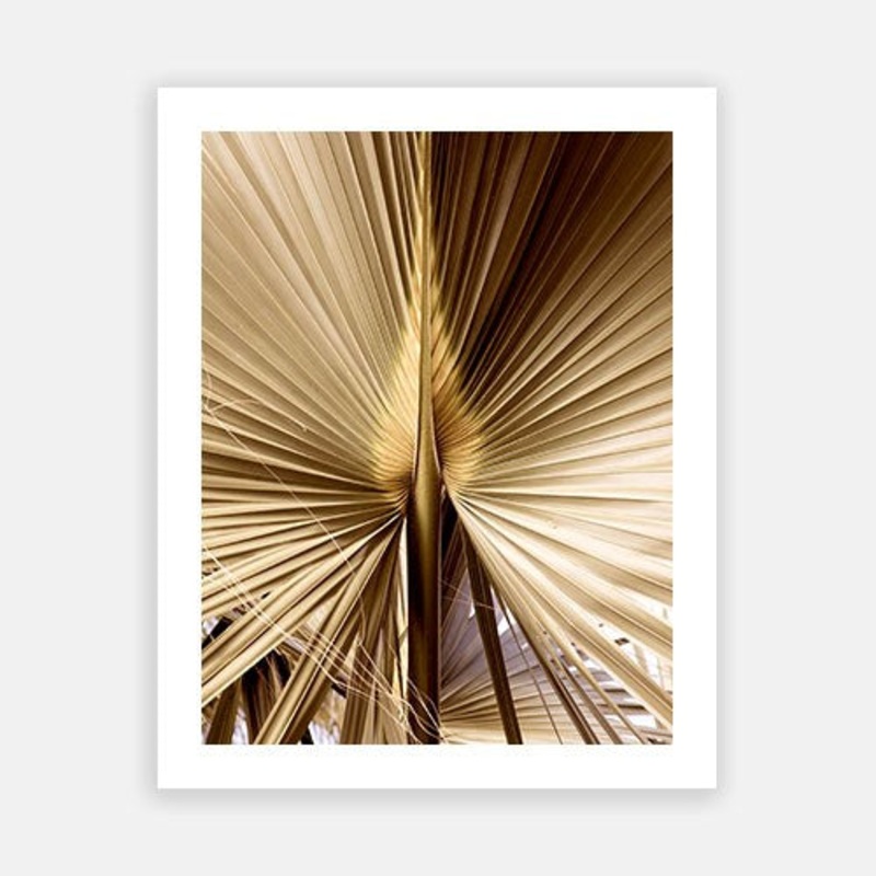 Antigua 02|C – 400 x 500|D – 500 x 600|E – 600 x 760|F – 760 x 1000|G – 1000 x 1300|Matt Photographic Paper|Canvas|None|White|Black|Scandi