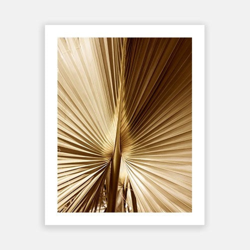 Antigua 03|C – 400 x 500|D – 500 x 600|E – 600 x 760|F – 760 x 1000|G – 1000 x 1300|Matt Photographic Paper|Canvas|None|White|Black|Scandi