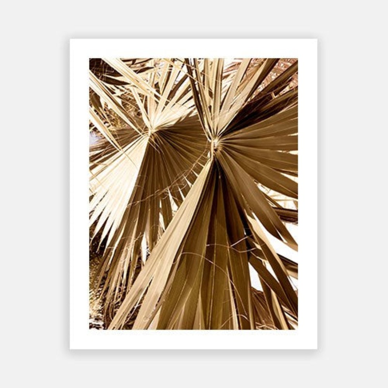 Antigua 04|C – 400 x 500|D – 500 x 600|E – 600 x 760|F – 760 x 1000|G – 1000 x 1300|Matt Photographic Paper|Canvas|None|White|Black|Scandi