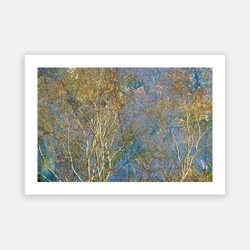 Blue Mountains|E – 500 x 760|F – 660 x 1000|G – 850 x 1300|Photographic Paper|Rag Paper|Canvas|None|White|Black|Scandi