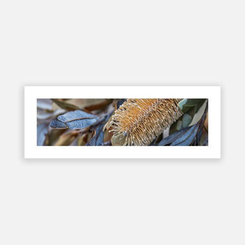 Bottlebrush Angourie|F – 280 x 1000|G – 360 x 1300|Matt Photographic Paper|Canvas|None|White|Black|Scandi