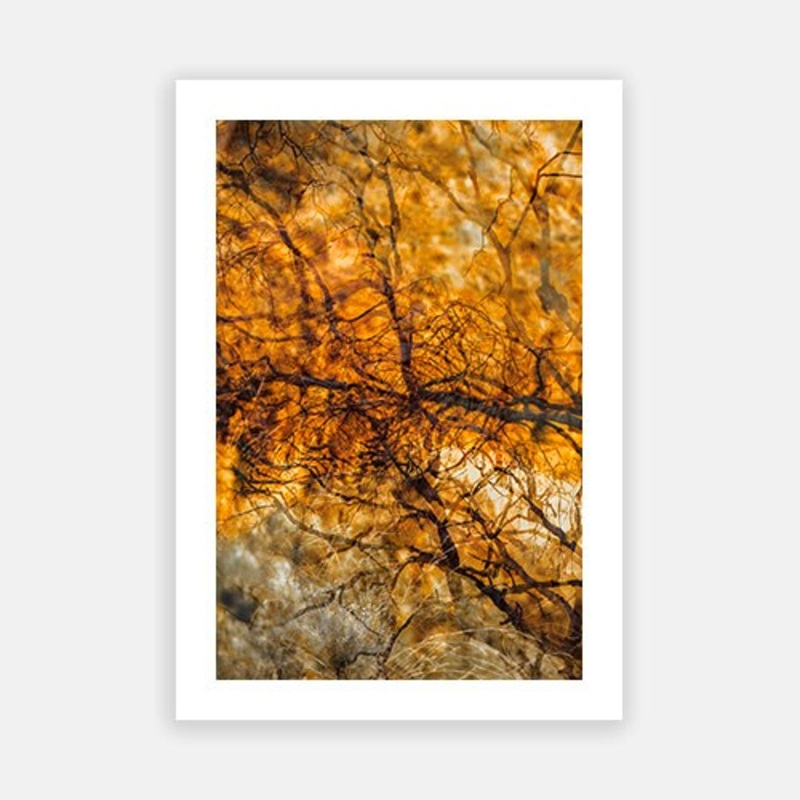 Dales Gorge Pilbara|E – 500 x 760|F – 660 x 1000|G – 850 x 1300|Photographic Paper|Rag Paper|Canvas|None|White|Black|Scandi