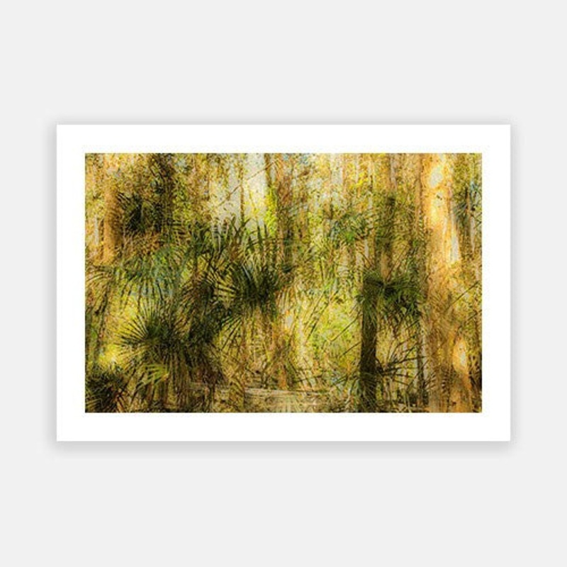 Fogg Dam NT|E – 500 x 760|F – 660 x 1000|G – 850 x 1300|Photographic Paper|Rag Paper|Canvas|None|White|Black|Scandi