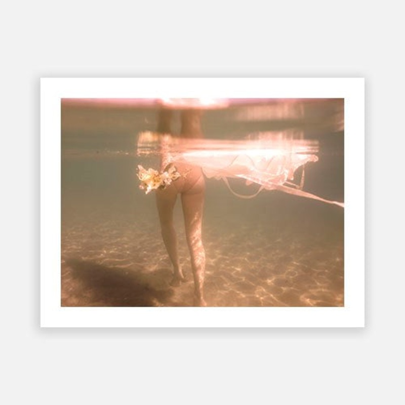 Language of Flowers 2|G – 1000 x 1300|H – 1400 x 1900|Canvas|Rag Paper|None|Gold|White|Black|Scandi